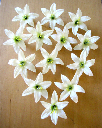 Lotto pezzi fermaglio per - lotto, 13